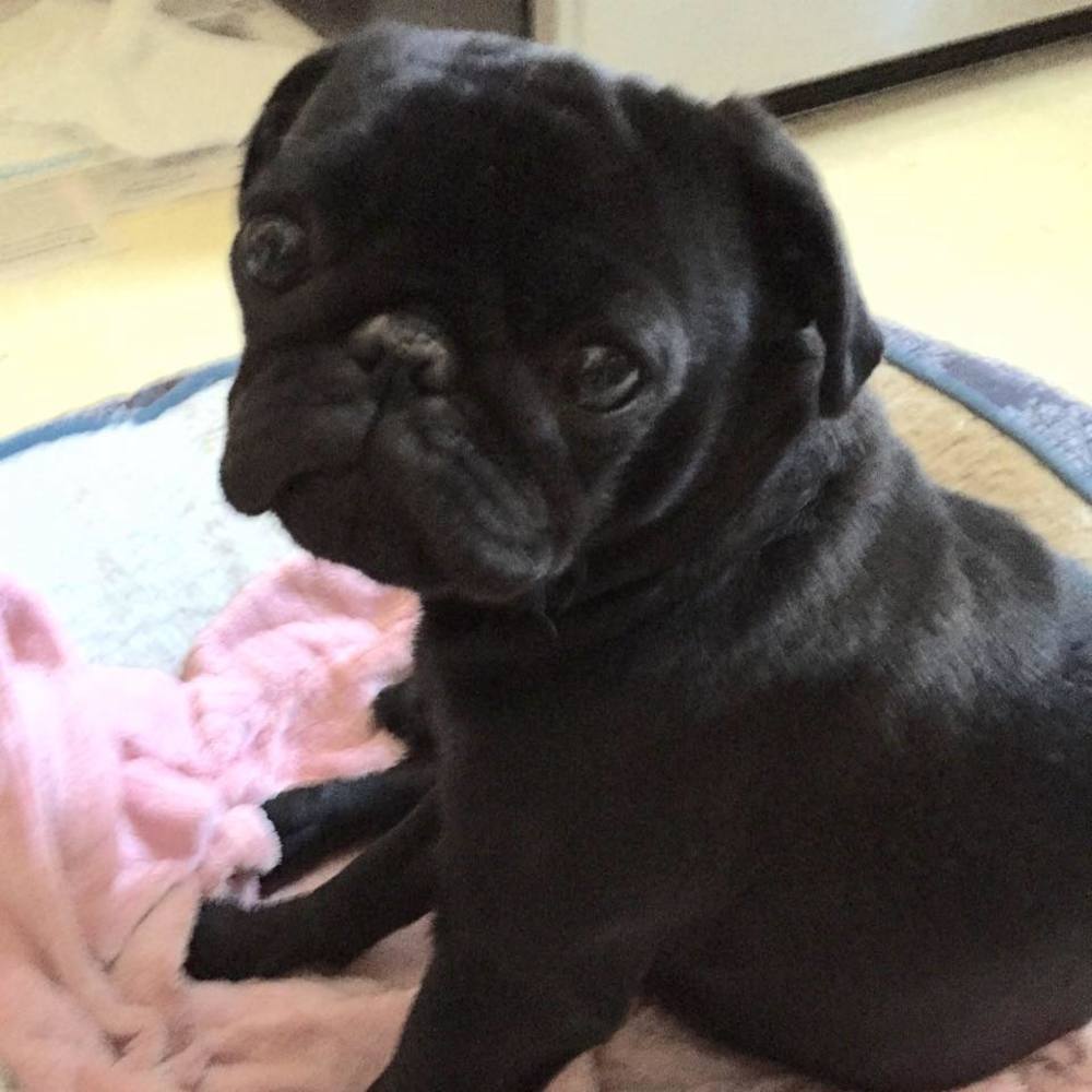 Meet your Posher, Rebecca